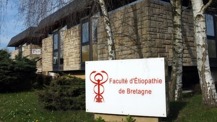 institut-francais-d-etiopathie-former-a-une-approche-systemique-du-corps-humain-1