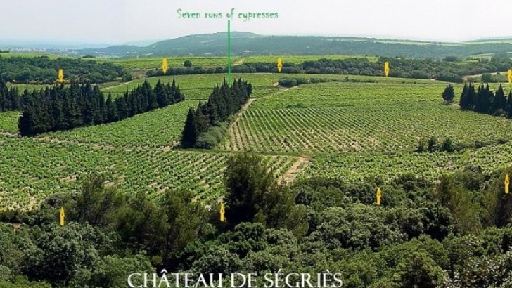 chateau-de-segries-58-hectares-de-vignobles
