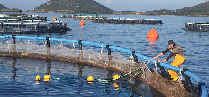 gloria-maris-a-afa-excellence-de-aquaculture-marine-francaise