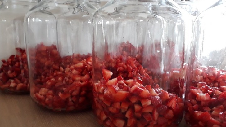 fraises-de-touraine-sont-selectionnees-a-maturite-et-cueillies-a-main-par-david-grougi-fondateur-des-potions-creoles
