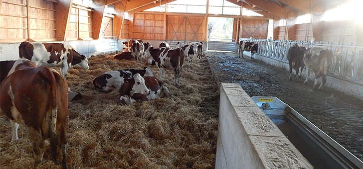 cooperative-laitiere-des-alpes-du-sud-a-eyglier-production-de-lait-authentique