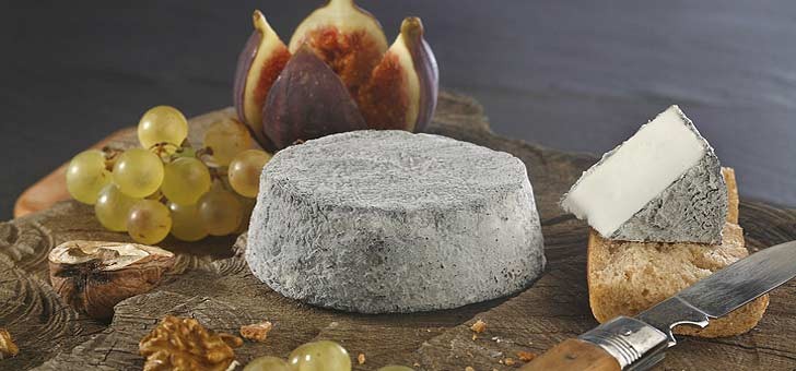 aop-selles-sur-cher-un-fromage-de-chevre