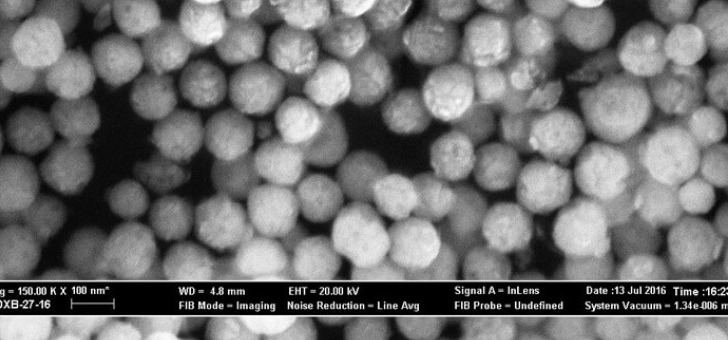 image-meb-des-nanoparticules-multilys