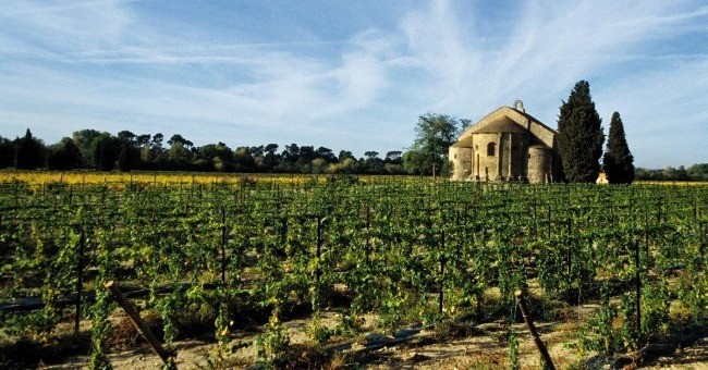 francois-lurton-pardela-wines-a-vayres