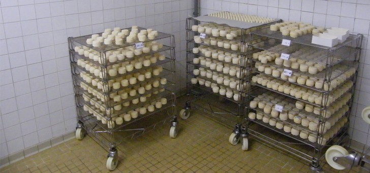fromagerie-de-milly-a-nerondes-fabrication-de-fromage-de-chevre