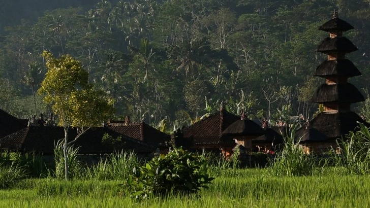 indonesie-bali-photo-d-un-village-traditionnel-a-proximite-de-sidemen